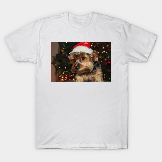 Cute Yorkshire Terrier Yorkie Puppy with Santa Hat T-Shirt by AdrianaHolmesArt